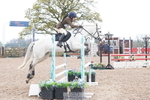 419-Susanna.Morris-BREEOGUE.BREEZE portfolio