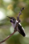 RT5B7335