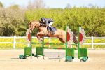 SBM_001402