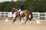 SBM_015645