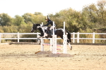 SBM_000628