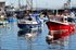 Boats and swans at Brixham Harbour