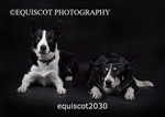 equiscot2030