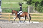 BPP_9508