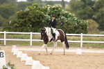 SBM_01791