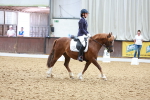 SBM_010911
