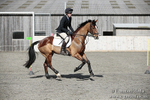 BVRC SJ 170319 492