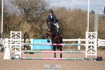 Cls 21 British Novice and 90cm portfolio