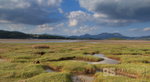Portmeirion light