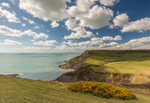 View from West Hill, St Aldhelm's Head, Dorset