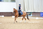 SBM_008392