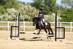 SBM_007464