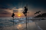 No.0078. Stilt Fishermen of Goggala, Sri Lanka