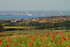 z1001 Nunwell Down and the Solent
