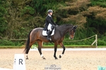 350-DAZZLING.SPRINGTIME-Alice.Kneen-DR portfolio