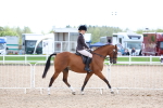 SBM_17496