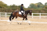 SBM_01692