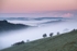 ab616 Knighton Down misty dawn