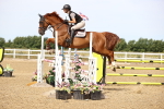 SBM_000334