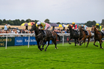 290826-Race 6-Tarmonbarry Kid-7876