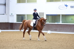 SBM_000460