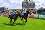 120626-Race 5-Antipodes-7841