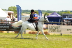 SBM_13425
