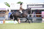 SBM_11332