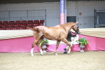 SBM_06636