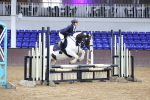 SBM_004335