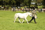 SBM_62767