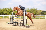 Class 24 - Senior Newcomers - 1.10m portfolio