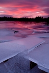 Shepherds Delight