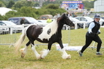 DSC06812
