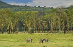 Kenya portfolio