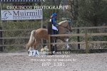 BPP_1381