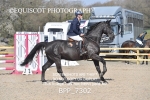 BPP_7302