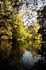 Autumn reflection