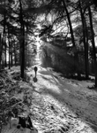 Black & White/Monochrome portfolio