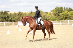 SBM_019285