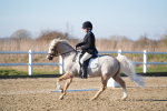 SBM_004818