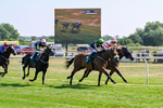 150726-Race 4-The Good Biscuit-3379