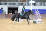 SBM_000691