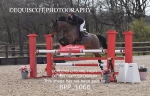 BPP_1066