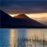 A Shaft of Golden Light (Square)