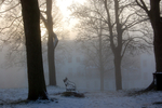 Clifton in snow_B0147
