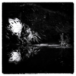 Reflection 1