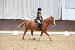 SBM_001041