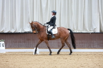 SBM_001681