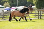 SBM_01594